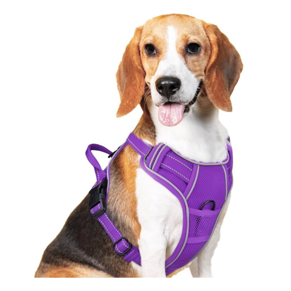 NEW Step-in No Pull Dog Harness 2 Leash Clips Reflective Vest Soft Padded XS